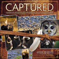 Cover image: Captured 1st edition 9780321720597