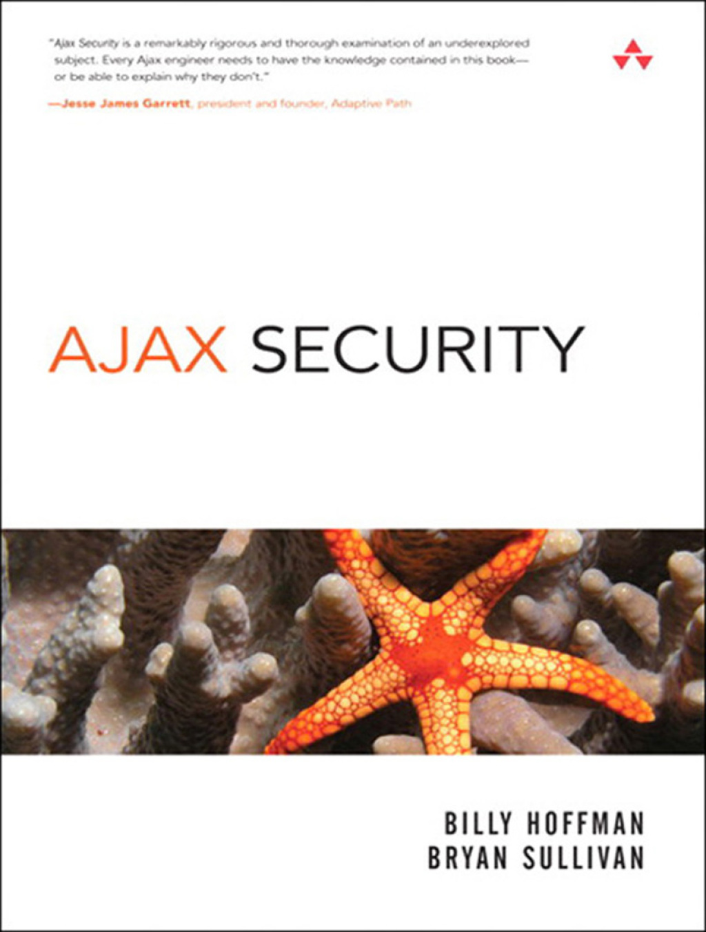 Ajax Security 1st Edition