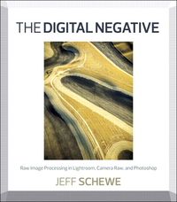 Imagen de portada: Digital Negative, The 1st edition 9780321839572