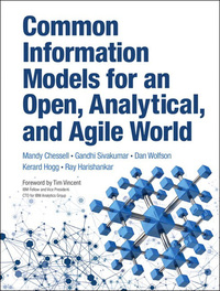 Cover image: Common Information Models for an Open, Analytical, and Agile World 1st edition 9780133366150