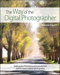 Immagine di copertina: The Way of the Digital Photographer 1st edition 9780321943071
