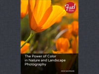 Omslagafbeelding: Power of Color in Nature and Landscape Photography, The 1st edition 9780133551778