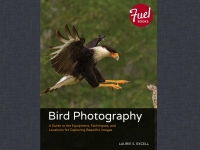 Imagen de portada: Bird Photography 1st edition 9780133763188