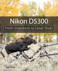 Cover image: Nikon D5300 1st edition 9780321987501