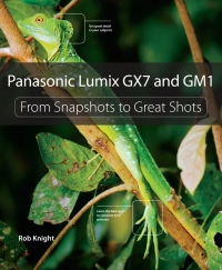 Imagen de portada: Panasonic Lumix GX7 and GM1 1st edition 9780321996404