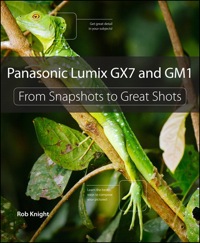 Cover image: Panasonic Lumix GX7 and GM1 1st edition 9780321996404