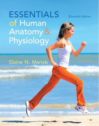 Cover image: Essentials of Human Anatomy & Physiology 11th edition 9780321919007