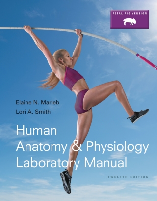 Cover image: Human Anatomy & Physiology Laboratory Manual, Fetal Pig Version 12th edition 9780133925593