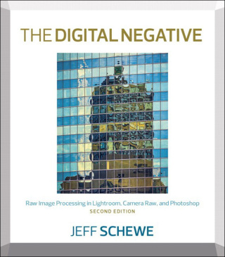 Cover image: The Digital Negative 2nd edition 9780134033174