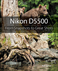 Cover image: Nikon D5500 1st edition 9780134185545