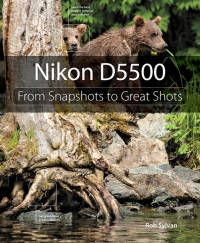 Cover image: Nikon D5500 1st edition 9780134185552