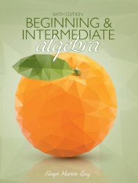Cover image: Beginning & Intermediate Algebra 6th edition 9780134193090