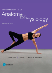 Cover image: Fundamentals of Anatomy & Physiology 11th edition 9780134396026