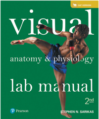 Cover image: Visual Anatomy & Physiology Lab Manual, Cat Version 2nd edition 9780134403854