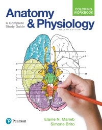 Cover image: Anatomy and Physiology Coloring Workbook 12th edition 9780134459363