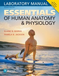 Cover image: Essentials of Human Anatomy & Physiology Laboratory Manual 7th edition 9780134424835