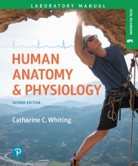 Cover image: Human Anatomy & Physiology Laboratory Manual 2nd edition 9780134746456