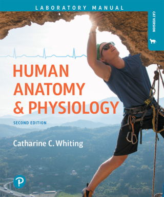 Cover image: Human Anatomy & Physiology Laboratory Manual 2nd edition 9780134609119