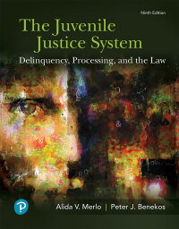 Cover image: The Juvenile Justice System: Delinquency, Processing, and the Law 9th edition 9780134812953