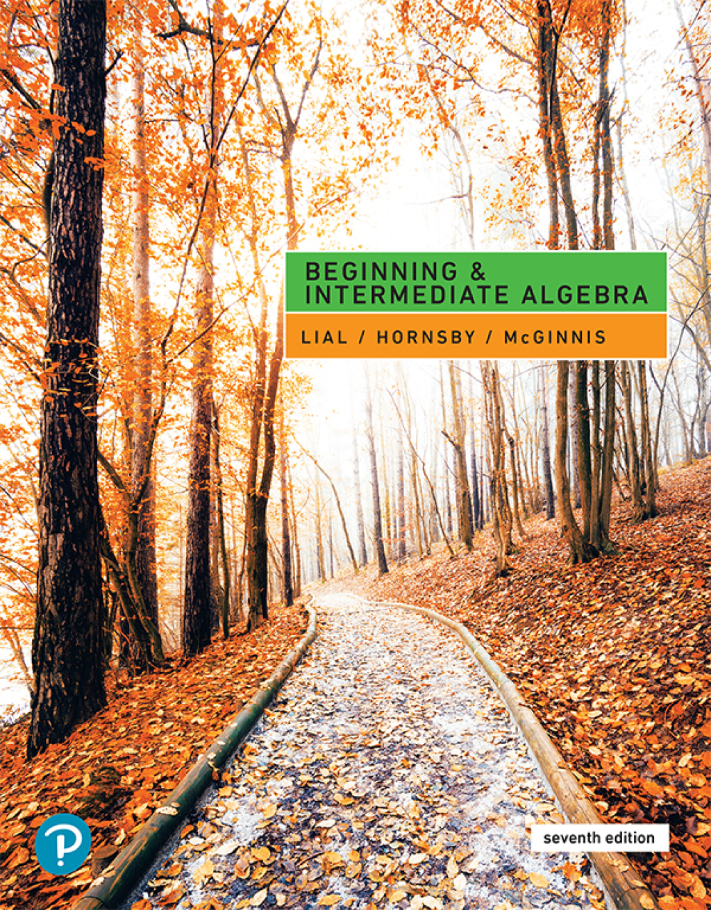 Beginning & Intermediate Algebra 7th Edition
