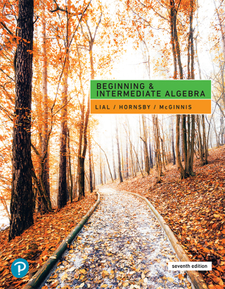 Cover image: Beginning & Intermediate Algebra 7th edition 9780134895994