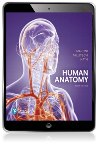 Human Anatomy (Pearson+) 9th Edition | 9780134424941, 9780135212936 ...