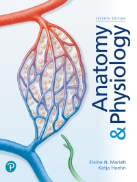 Titelbild: Anatomy & Physiology 7th edition 9780135168042