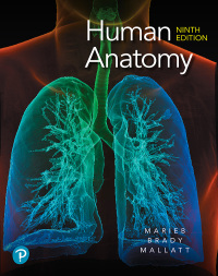 Cover image: Human Anatomy 9th edition 9780135168059