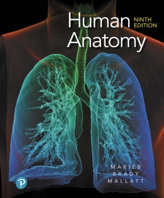 Cover image: Mastering A&P with Pearson eText Access Code (18 Weeks) for Human Anatomy 9th edition 9780135242339
