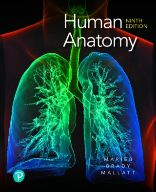 Cover image: Human Anatomy (Pearson+) 9th edition 9780135206195