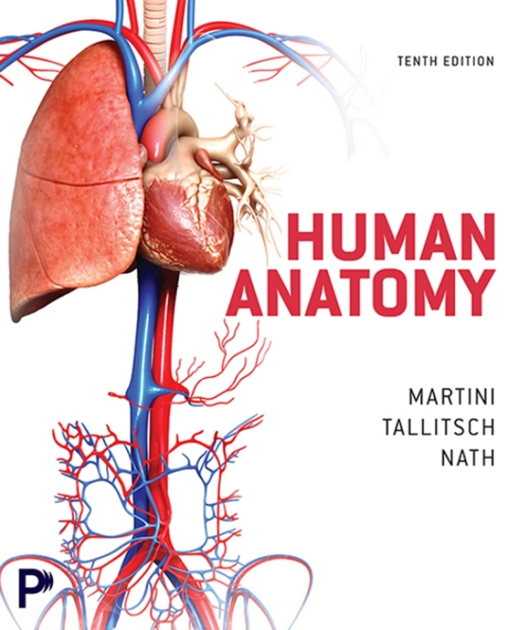 Human Anatomy, 10th Edition - E-Book - Original PDF - img