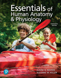 Cover image: Essentials of Human Anatomy & Physiology 13th edition 9780137375561