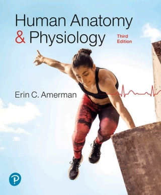 Cover image: Human Anatomy & Physiology 3rd edition 9780138201814