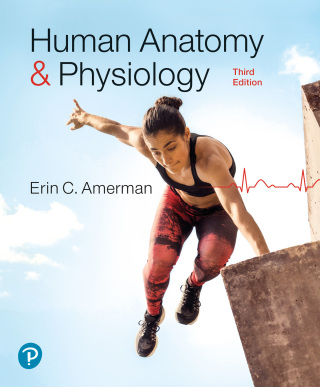 Cover image: Human Anatomy & Physiology 3rd edition 9780138201814