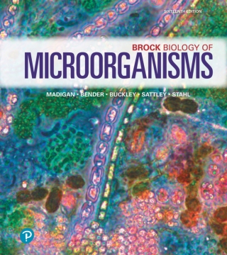 Cover image: Brock Biology of Microorganisms (Pearson+) 16th edition 9780134874401