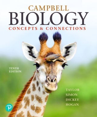 Cover image: Campbell Biology: Concepts & Connections (Pearson+) 10th edition 9780135269169