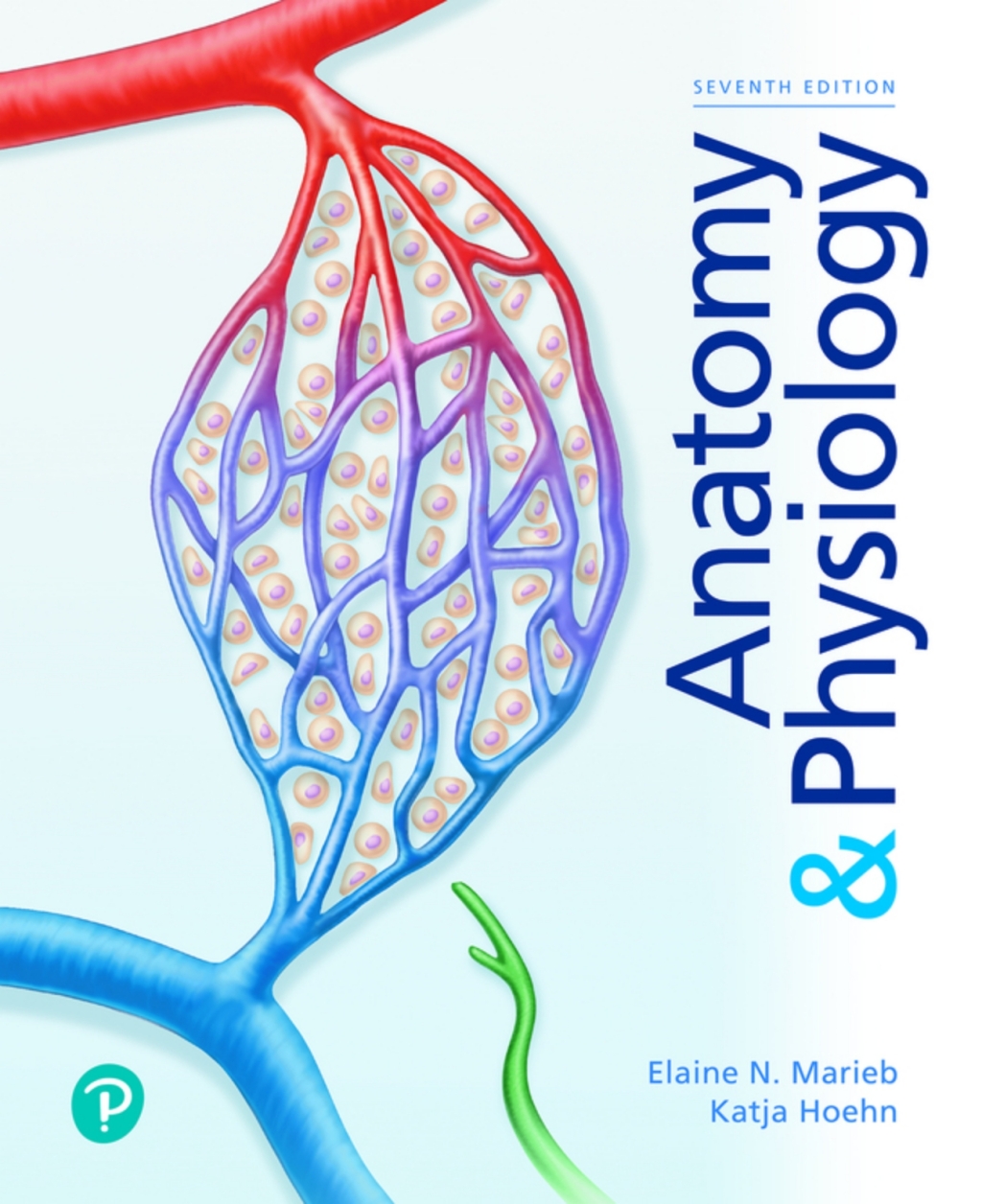 Anatomy & Physiology (Pearson+) 7th Edition