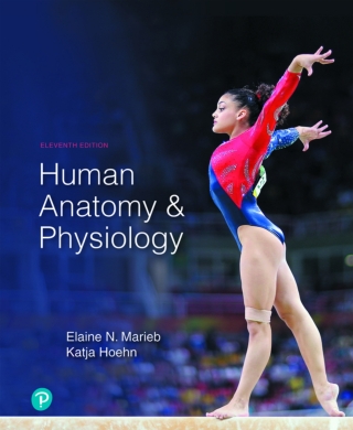 Cover image: Human Anatomy & Physiology (Pearson+) 11th edition 9780134580999