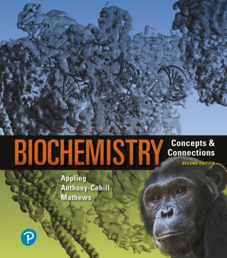 Cover image: Biochemistry: Concepts and Connections (Pearson+) 2nd edition 9780134762975