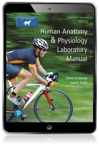 Cover image: Human Anatomy & Physiology Laboratory Manual, Cat Version (Pearson+) 13th edition 9780134632339