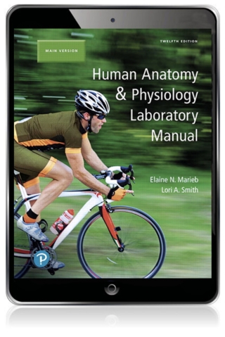Cover image: Human Anatomy & Physiology Laboratory Manual, Main Version (Pearson+) 12th edition 9780134777924