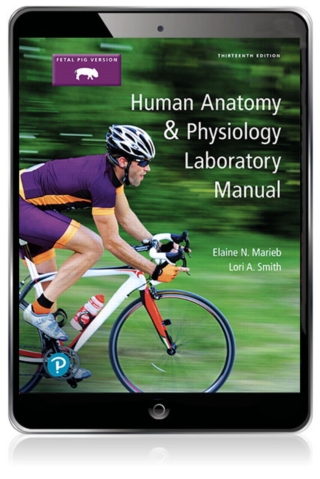 Cover image: Human Anatomy & Physiology Laboratory Manual, Fetal Pig Version (Pearson+) 13th edition 9780134806365