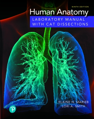 Cover image: Human Anatomy Laboratory Manual with Cat Dissections (Pearson+) 9th edition 9780136966166