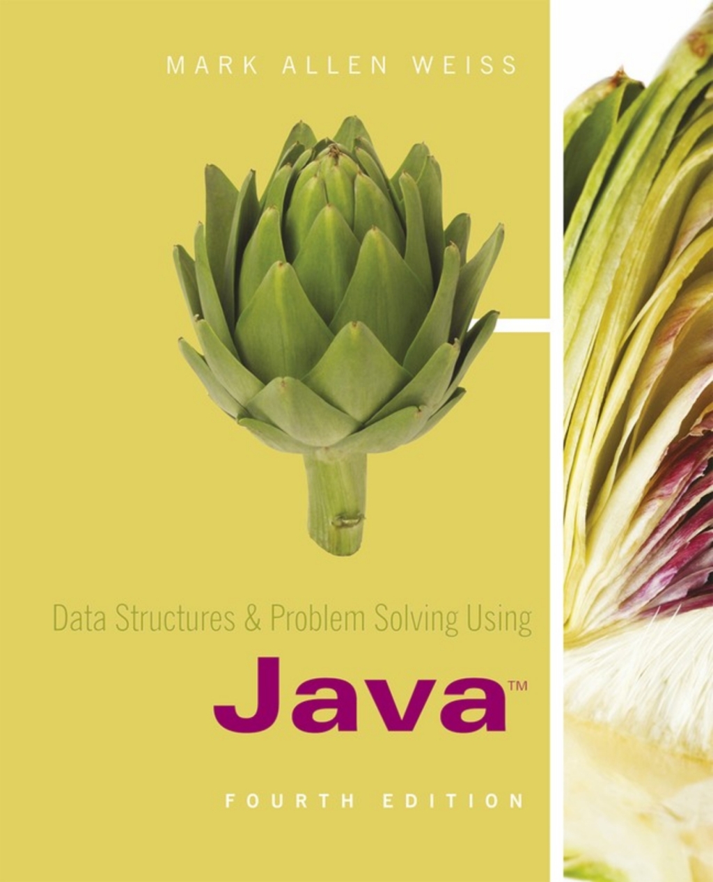 Data Structures and Problem Solving Using Java (Pearson+) - 4th Edition (CourseWare Rental)
