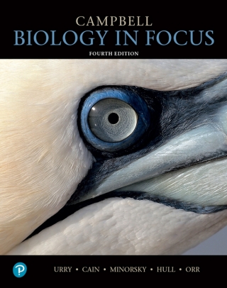 Cover image: Campbell Biology in Focus 4th edition 9780138225216