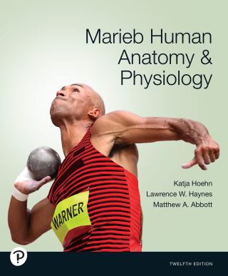 Cover image: Marieb Marieb Human Anatomy & Physiology 12th edition 9780138242732