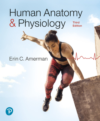 Cover image: Human Anatomy & Physiology (Pearson+) 3rd edition 9780138201814
