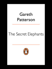 Omslagafbeelding: The Secret Elephants 1st edition 9780143528012