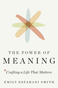 Cover image: The Power of Meaning 9780670069491