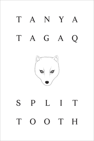 Cover image: Split Tooth 1st edition 9780670070091